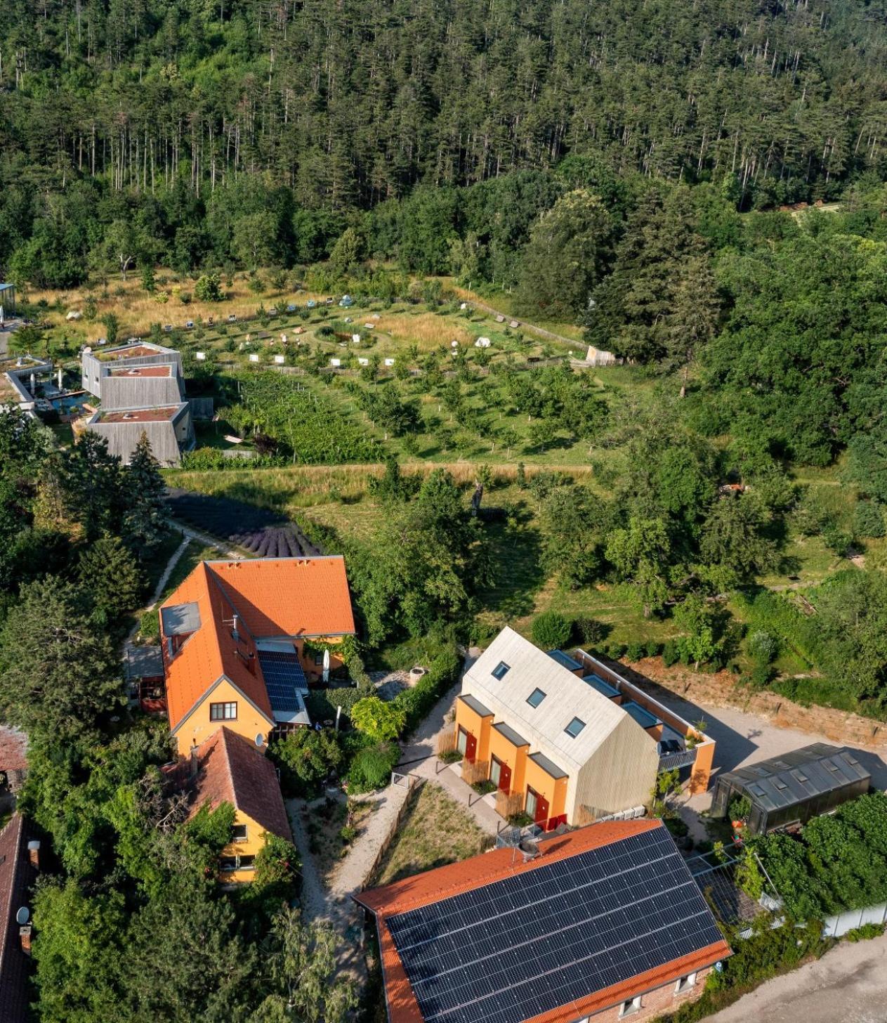 Flora Auf Gut Guntrams Hotel Schwarzau am Steinfelde ภายนอก รูปภาพ