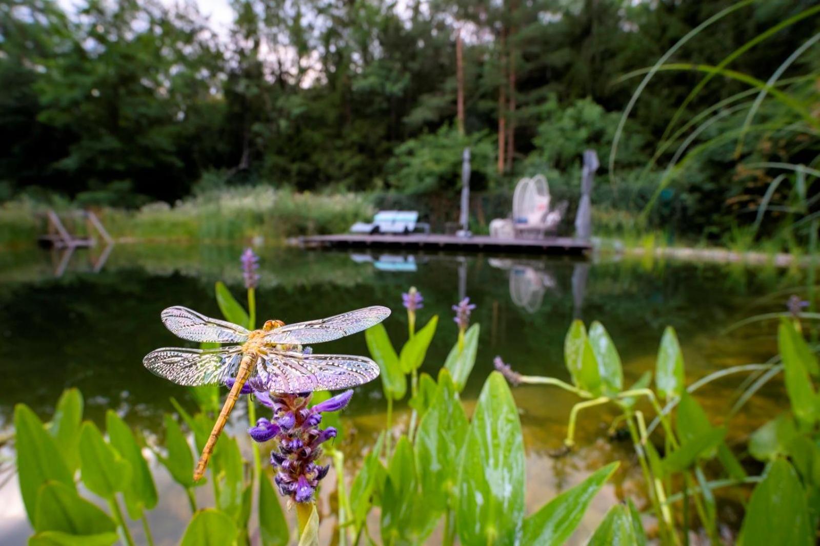 Flora Auf Gut Guntrams Hotel Schwarzau am Steinfelde ภายนอก รูปภาพ